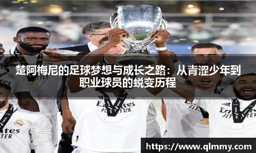 金年会金字招牌信誉至上